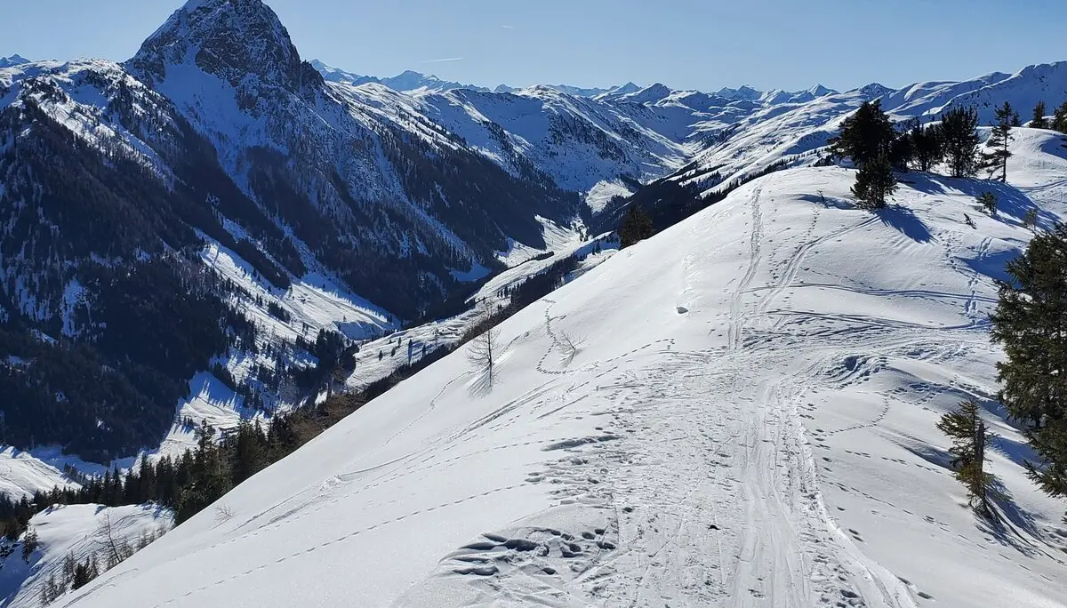 © Matthias Burkhardt