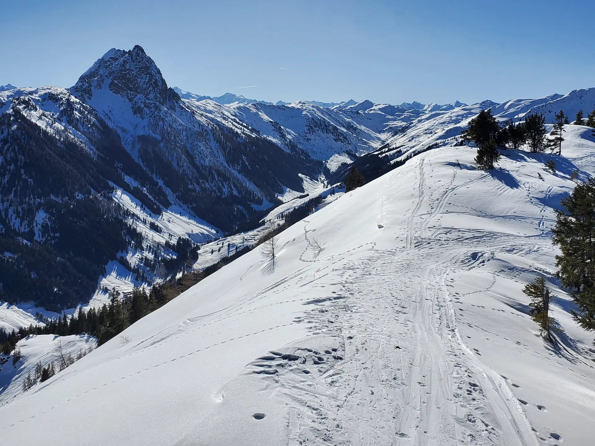 © Matthias Burkhardt