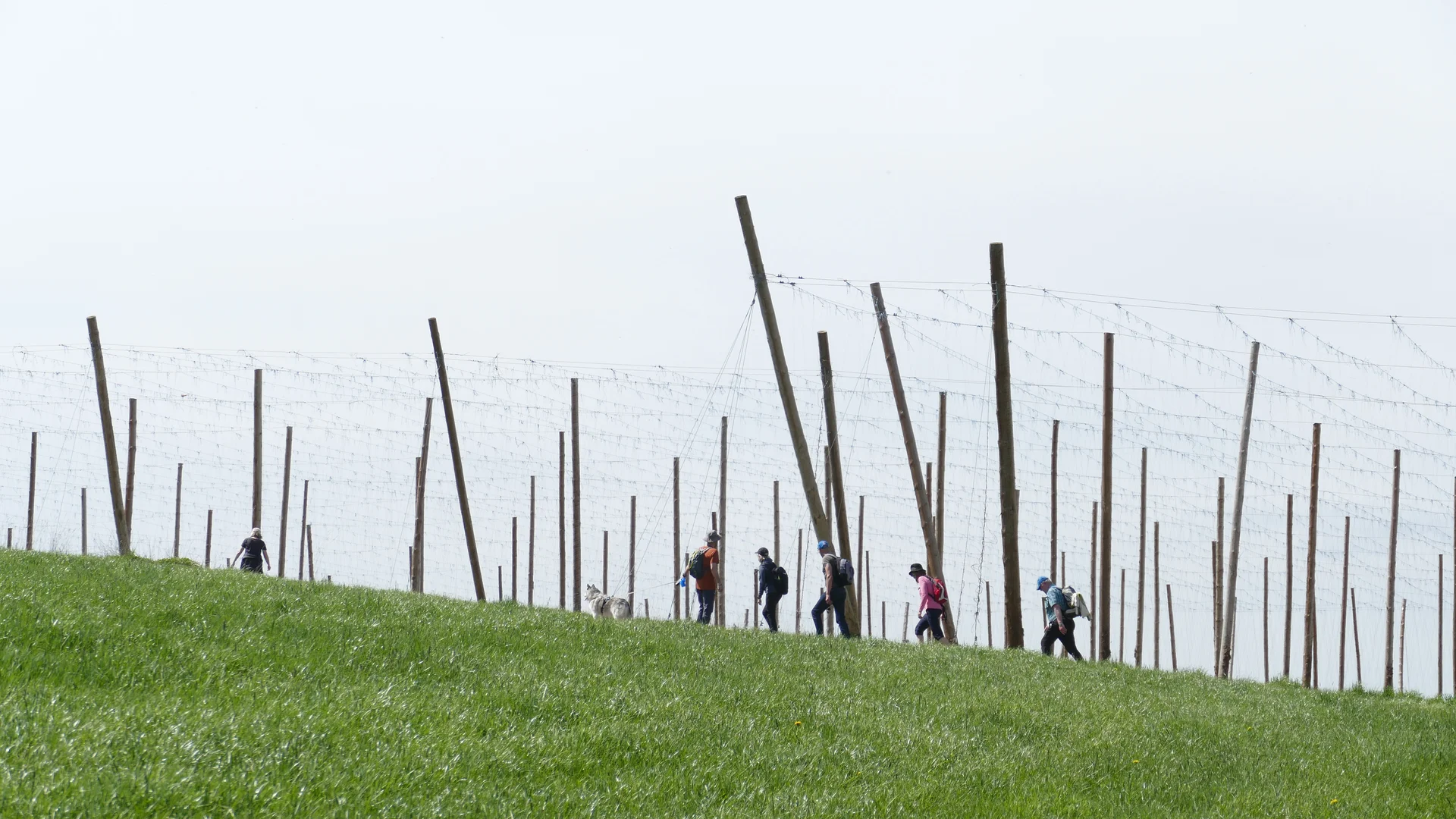 © Karl König