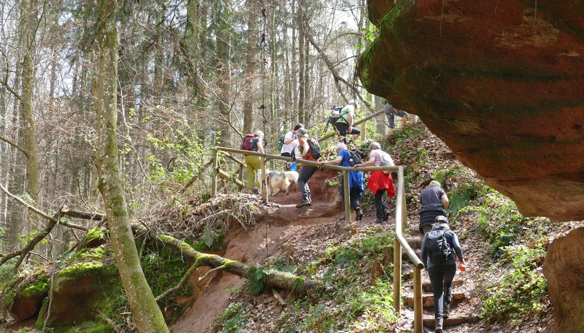 © Karl König