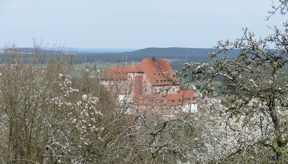 © Karl König