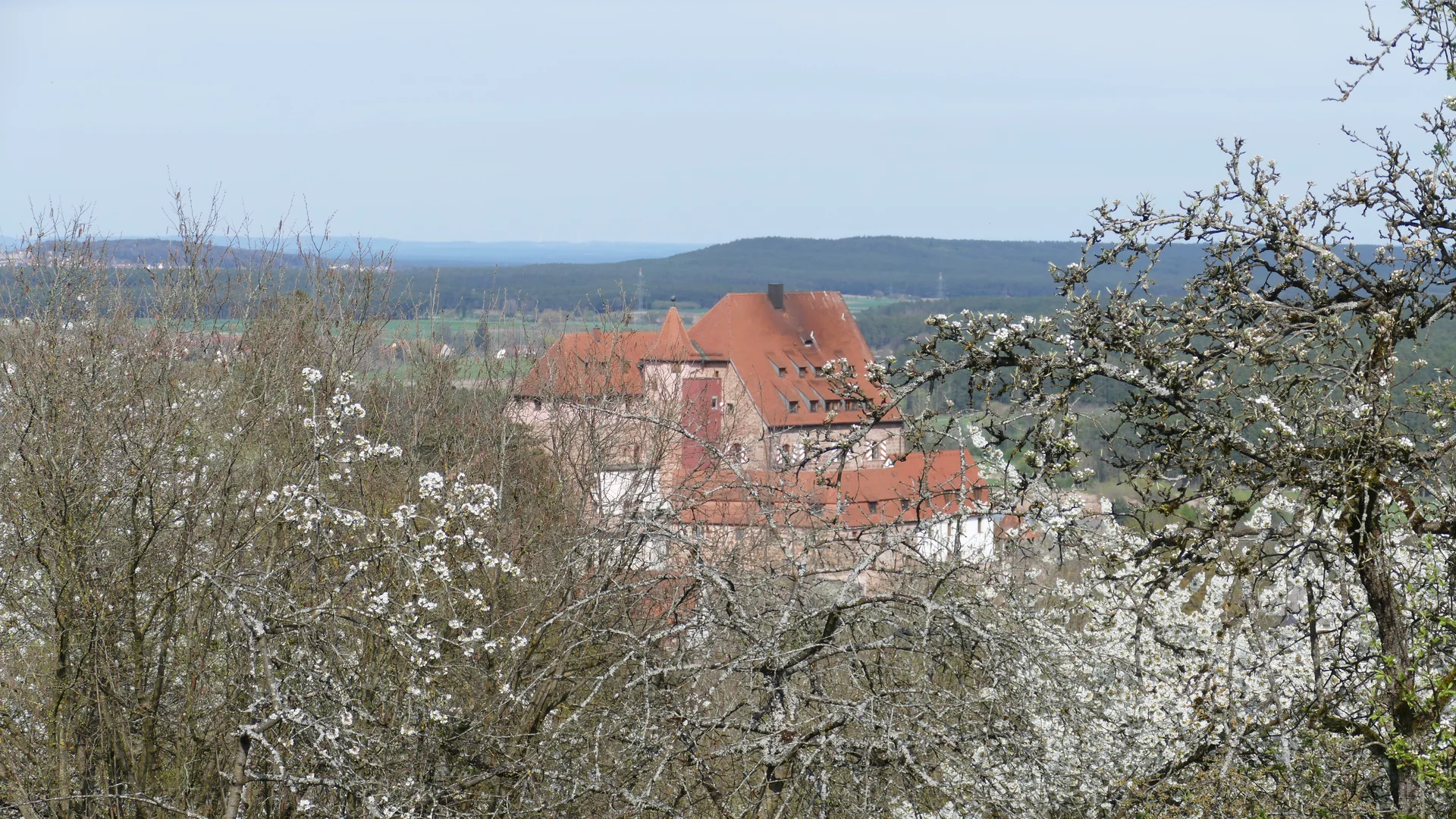 © Karl König