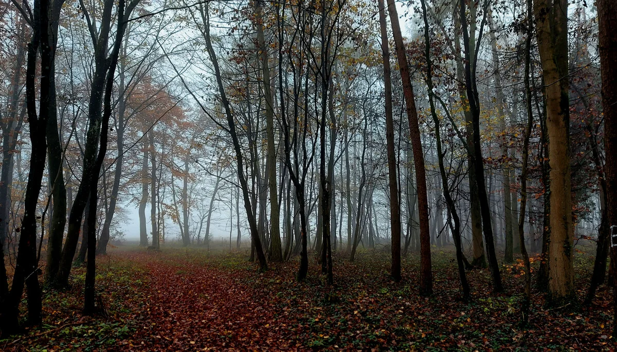 © DAV Gunzenhausen
