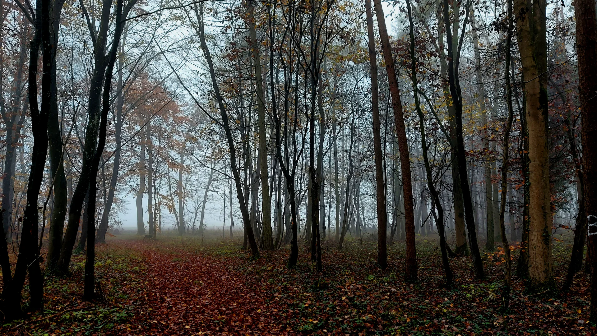 © DAV Gunzenhausen