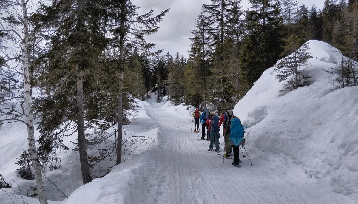 © Matthias Burkhardt