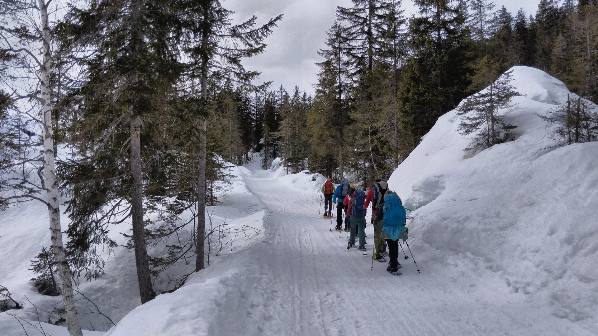 © Matthias Burkhardt