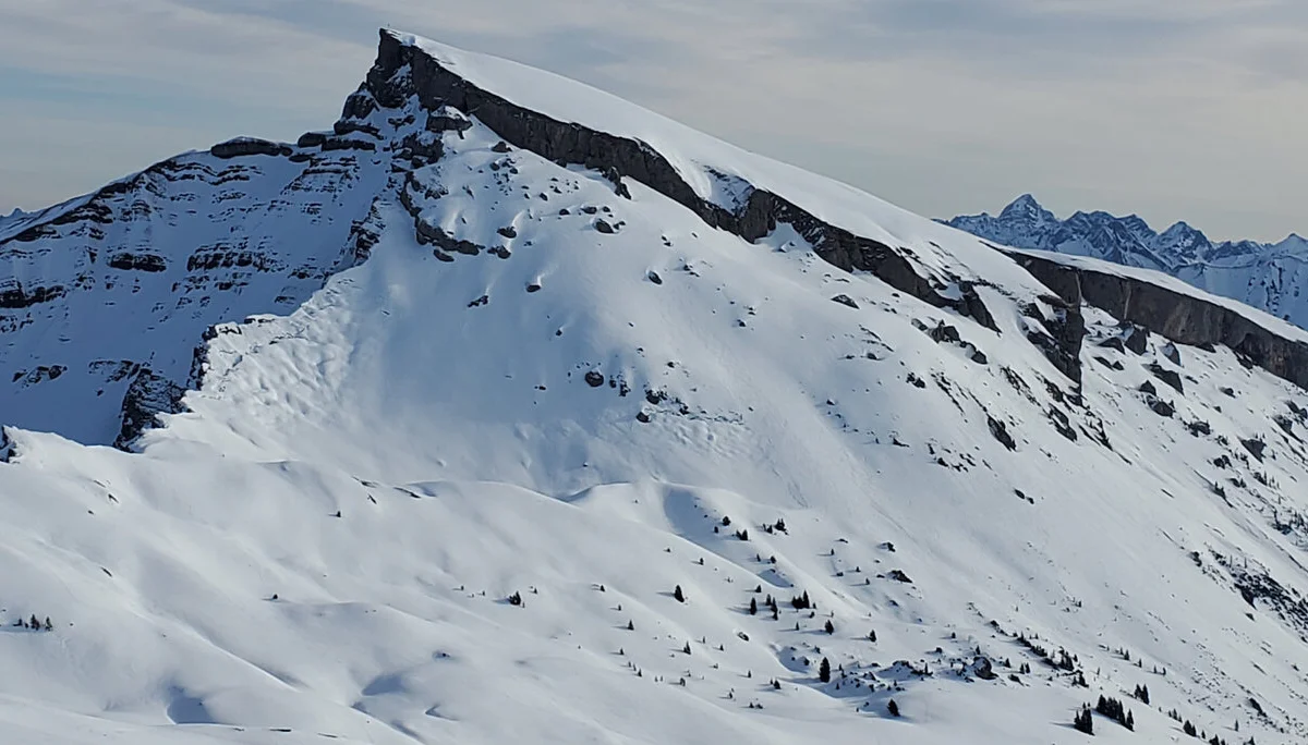 © Matthias Burkhardt