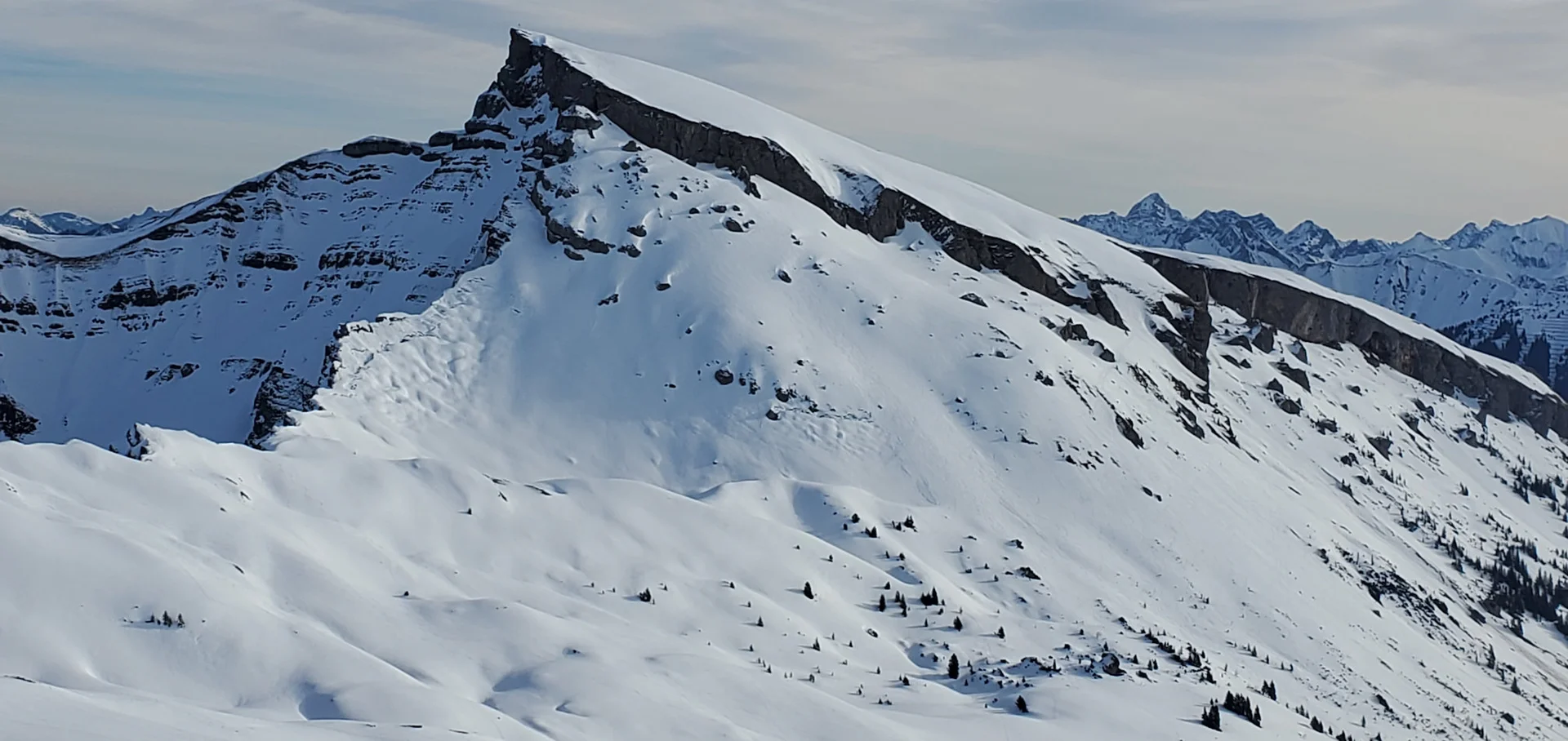 © Matthias Burkhardt