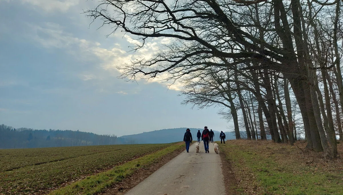 © Karl König