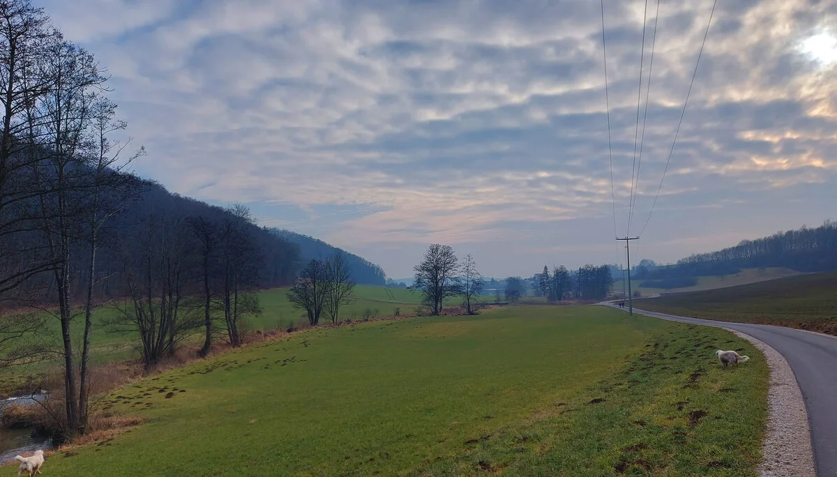 © Karl König