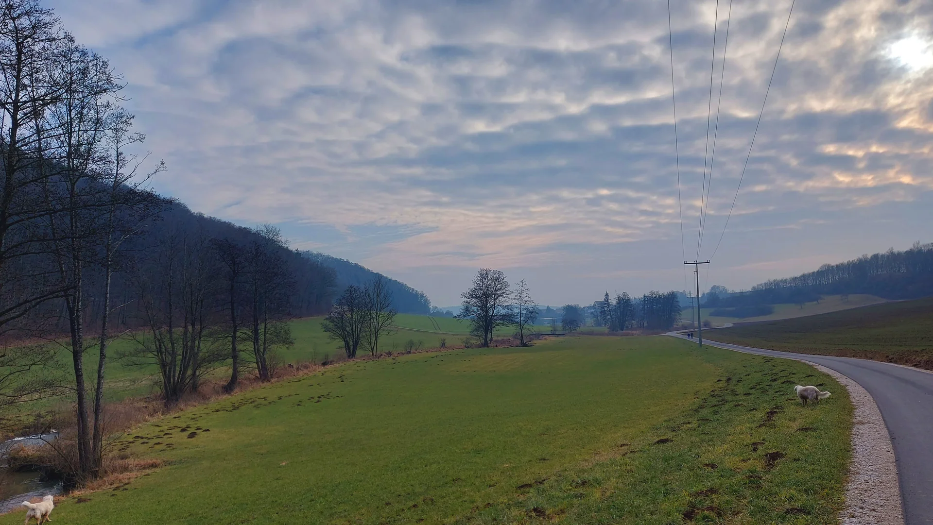 © Karl König