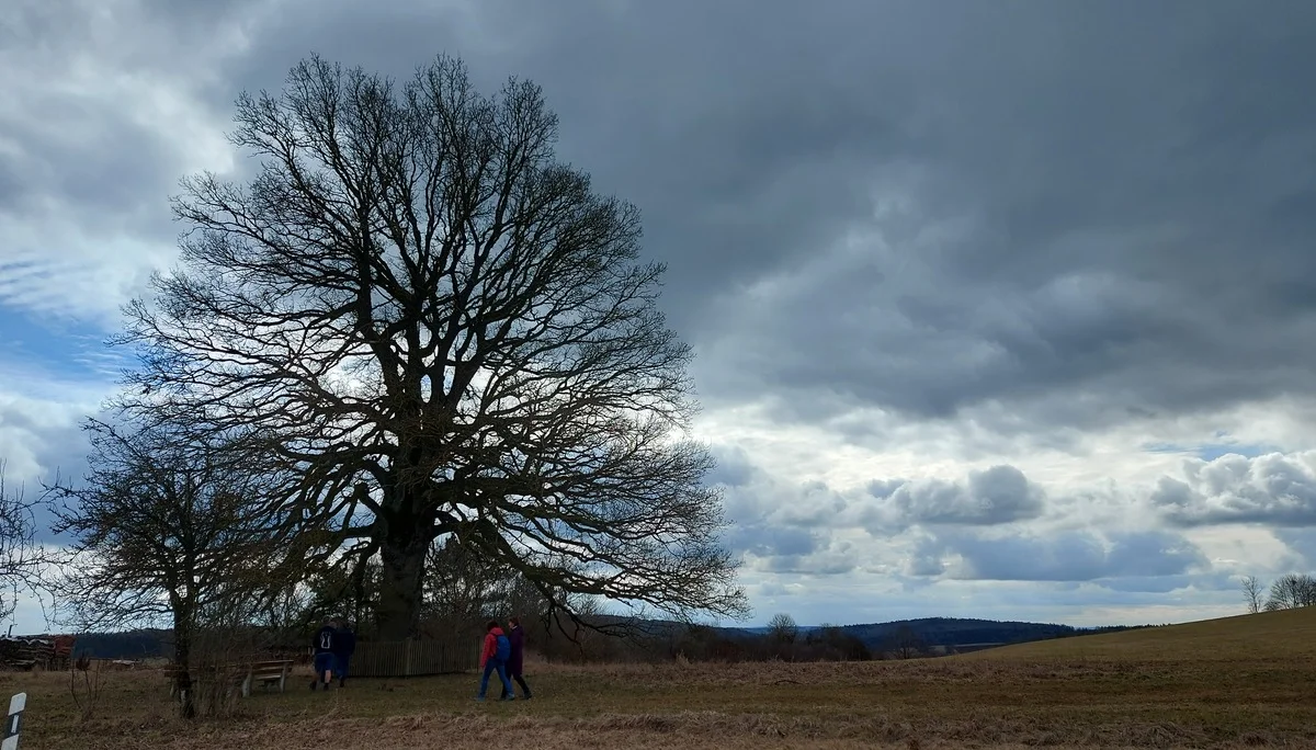 © Karl König