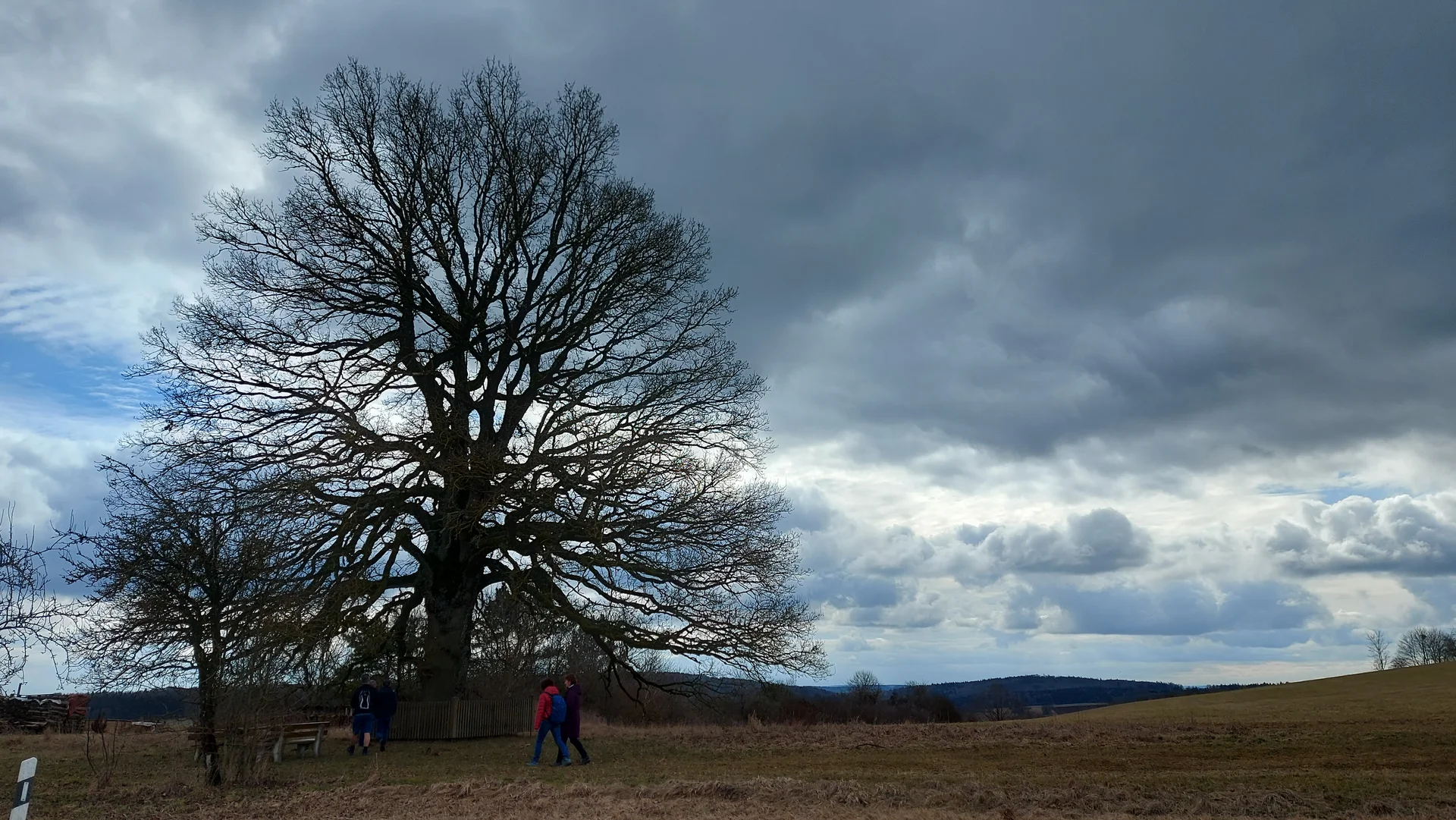 © Karl König