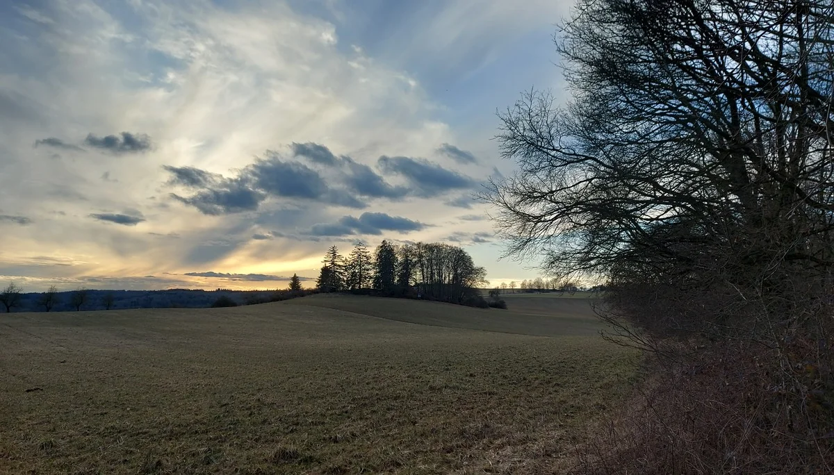 © Karl König