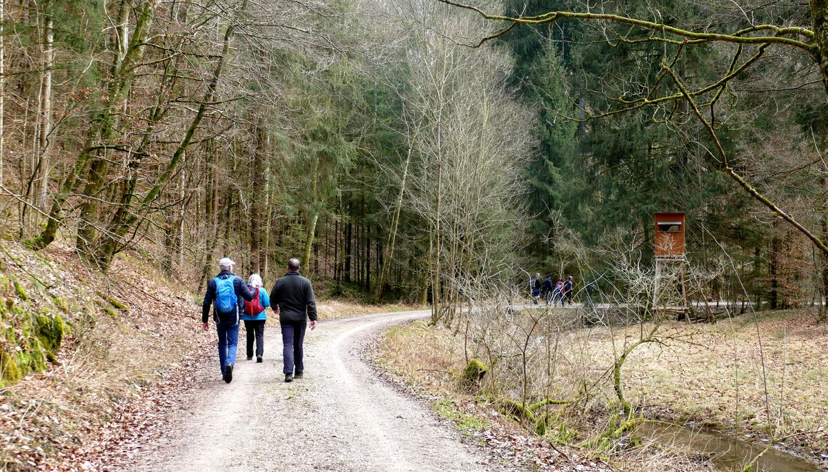 © Karl König
