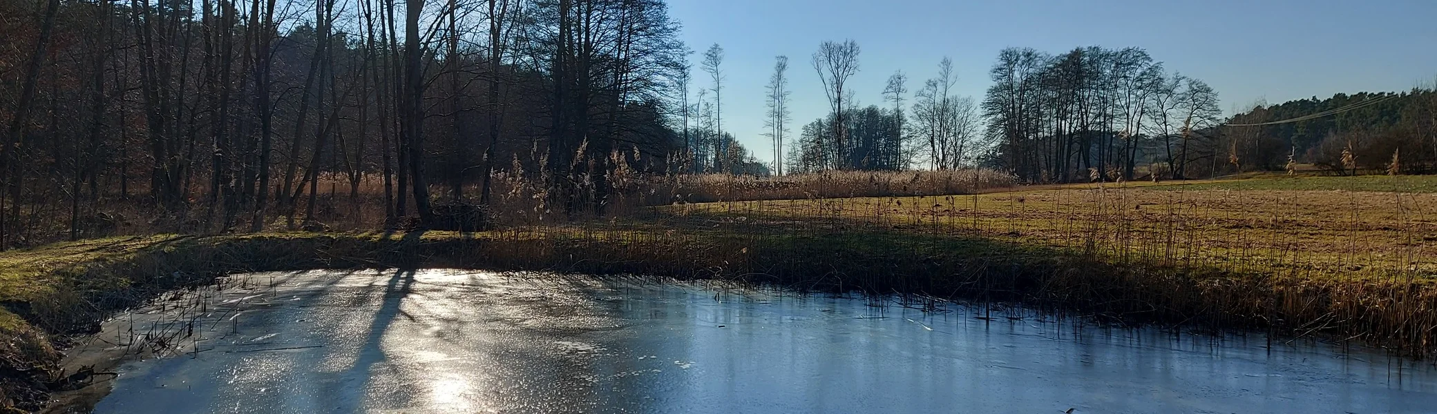 © Karl König