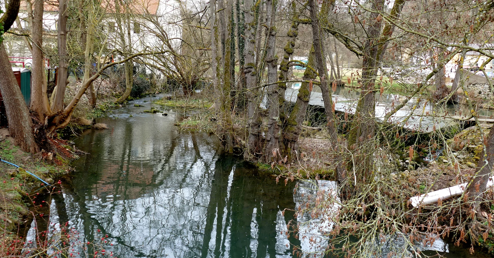 © Karl König