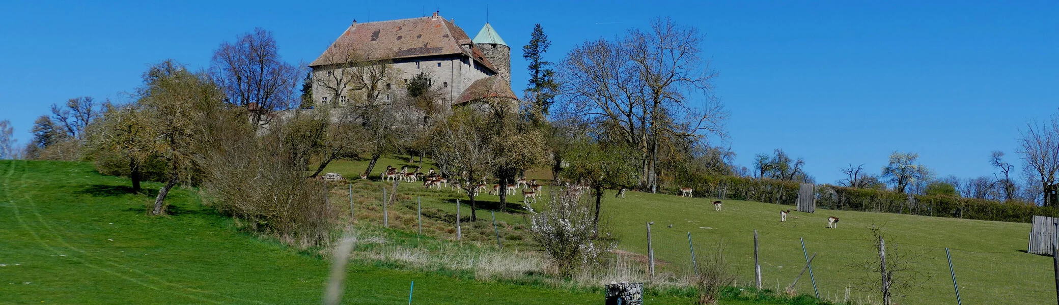 © Karl König