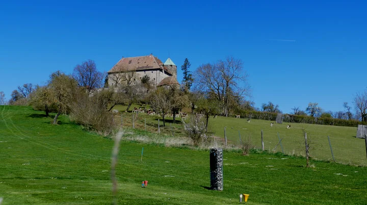 © Karl König