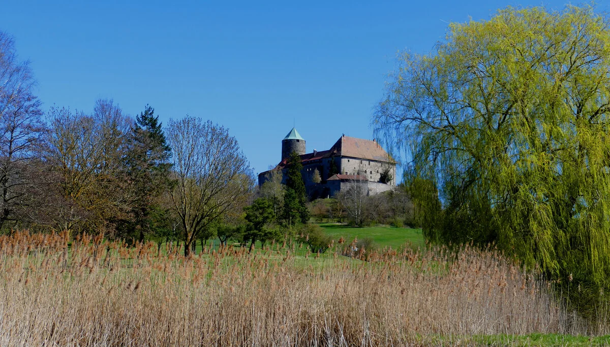 © Karl König
