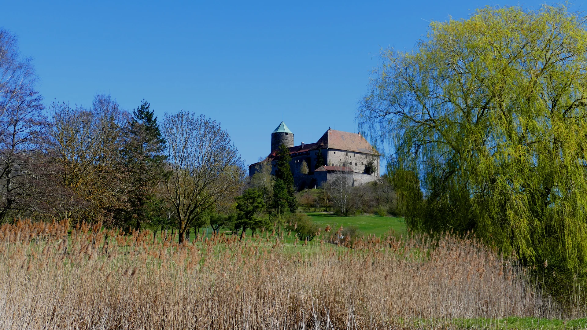 © Karl König
