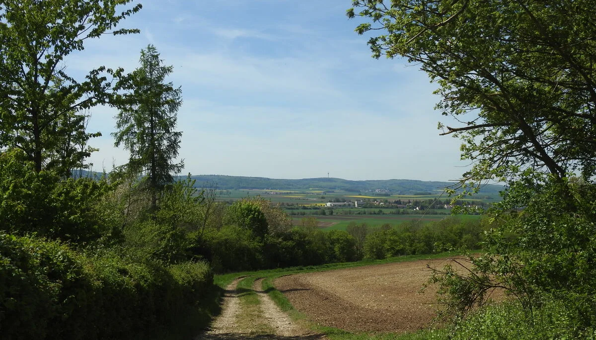 © Karl König