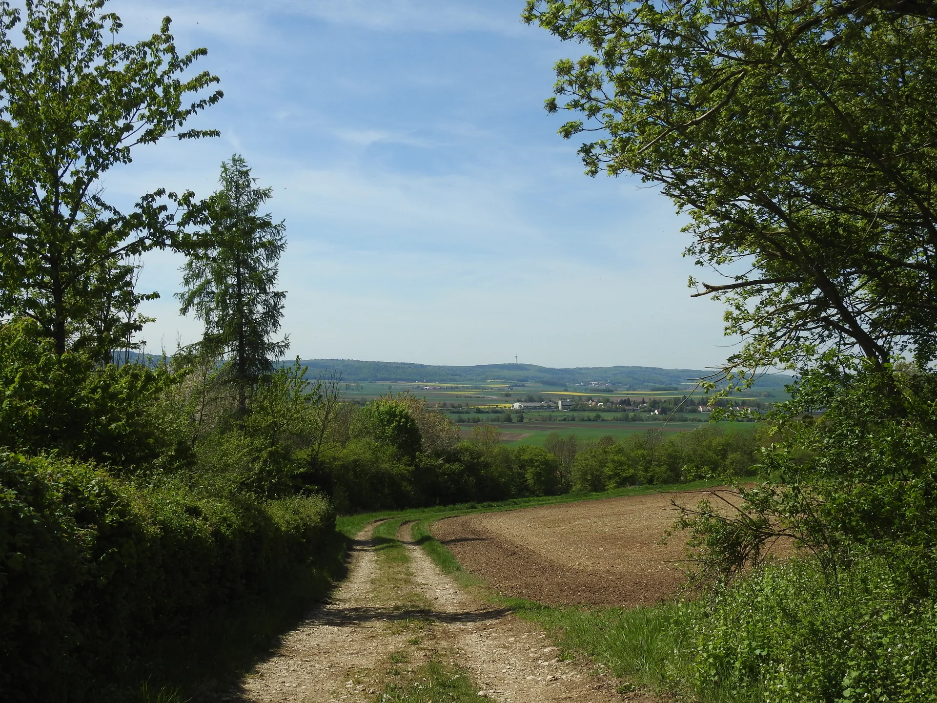 © Karl König