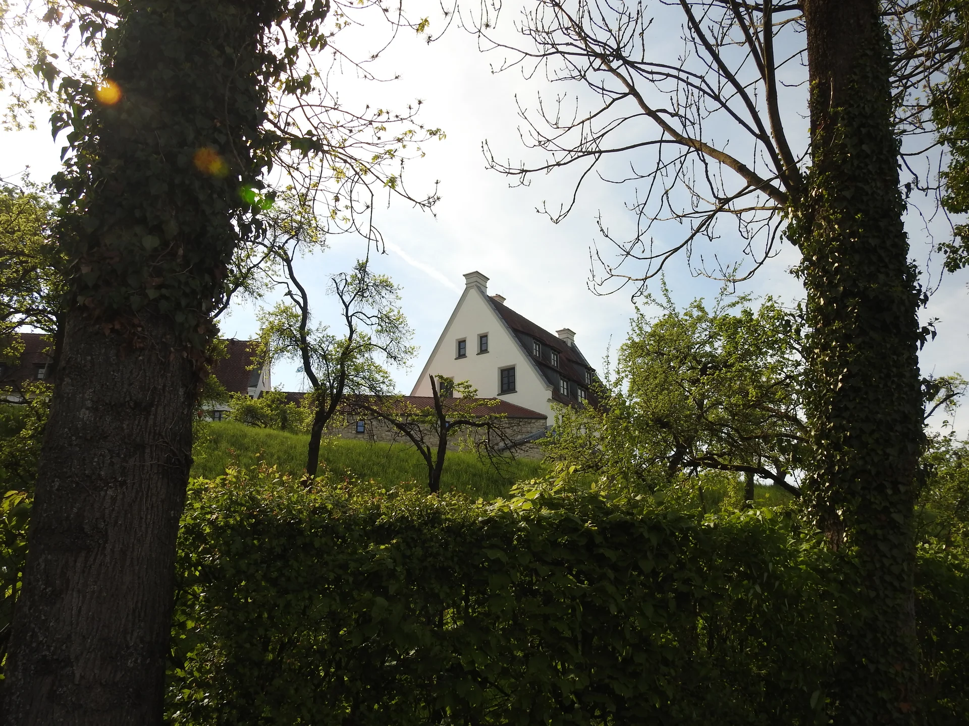 © Karl König