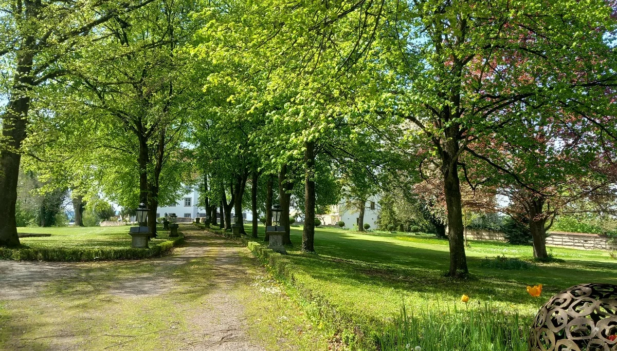 © Karl König