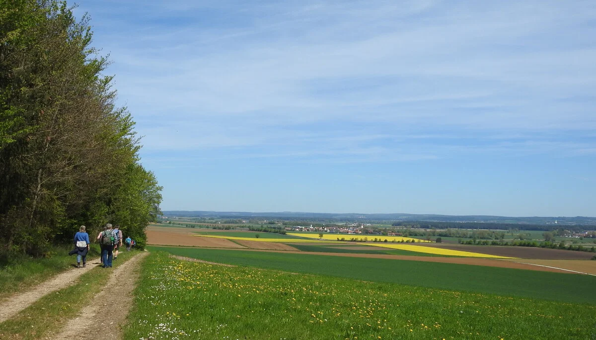 © Karl König