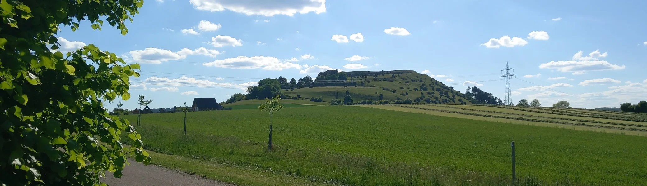 © Karl König