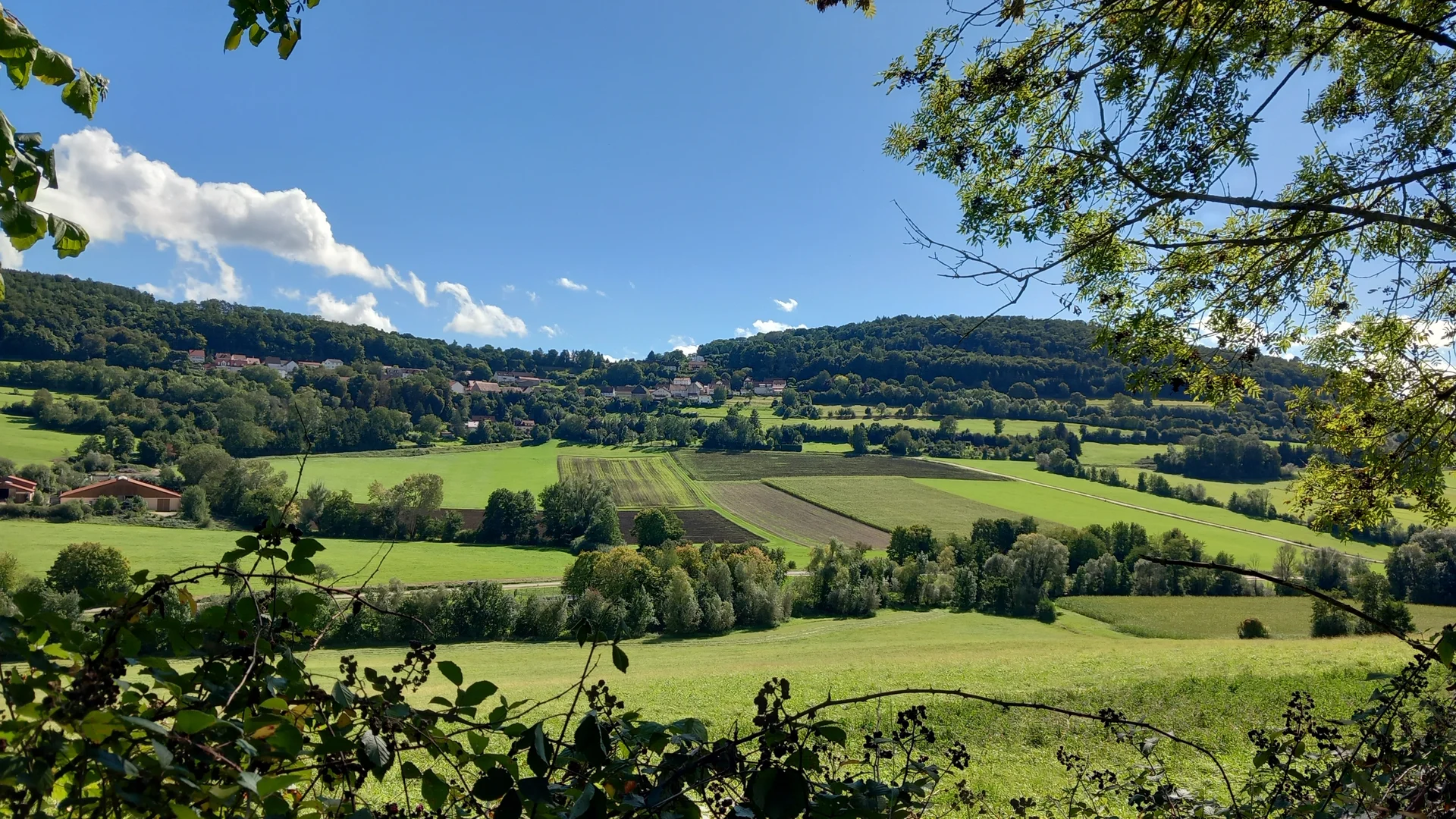 © Karl König
