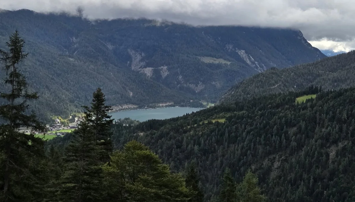 © Jürgen Wiedemann