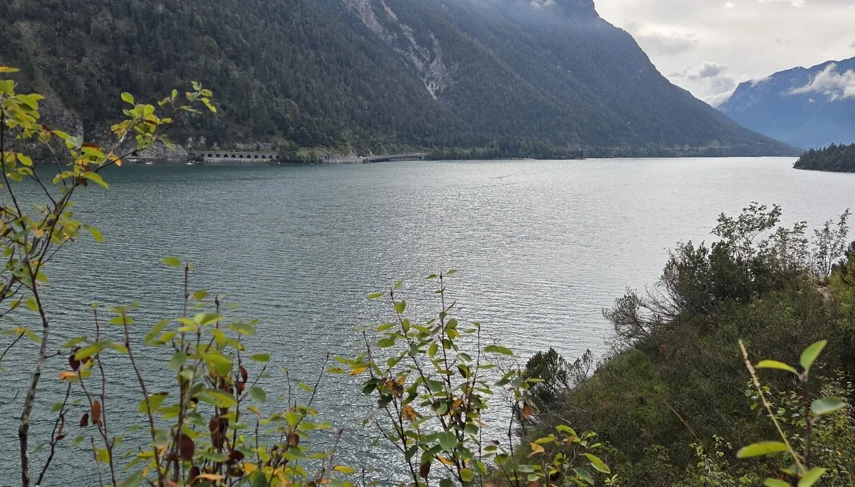 © Jürgen Wiedemann