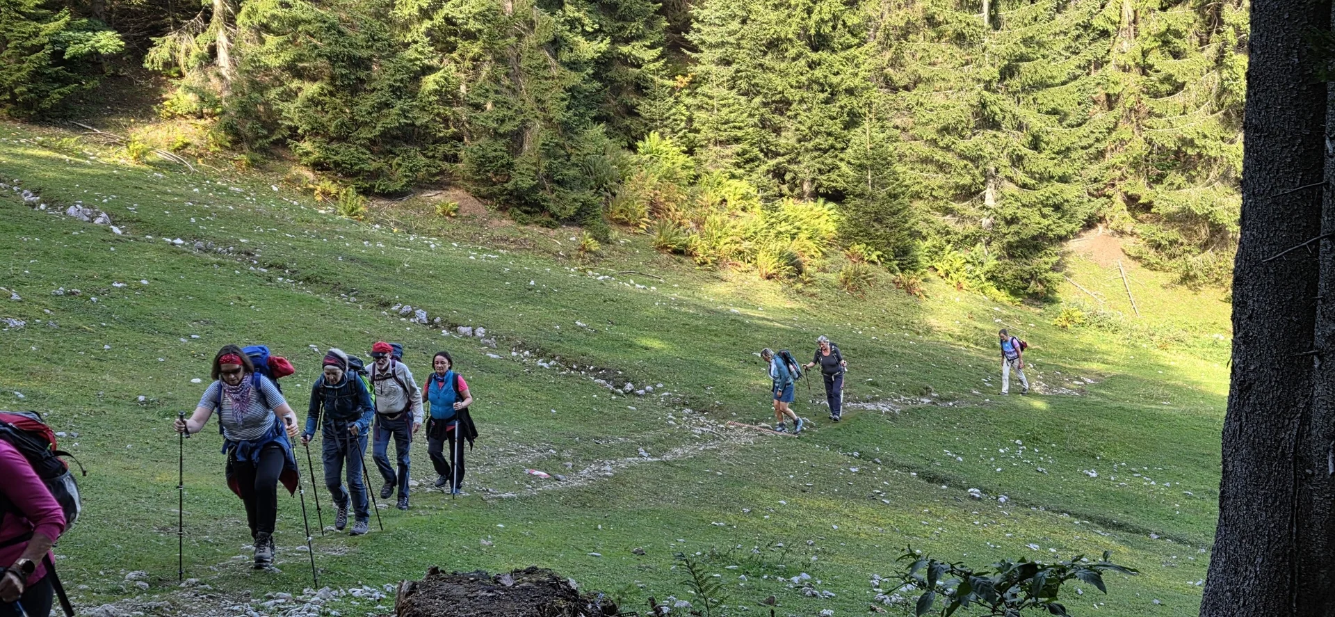 © Jürgen Wiedemann