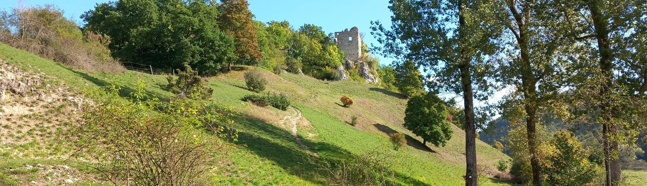 © Karl König