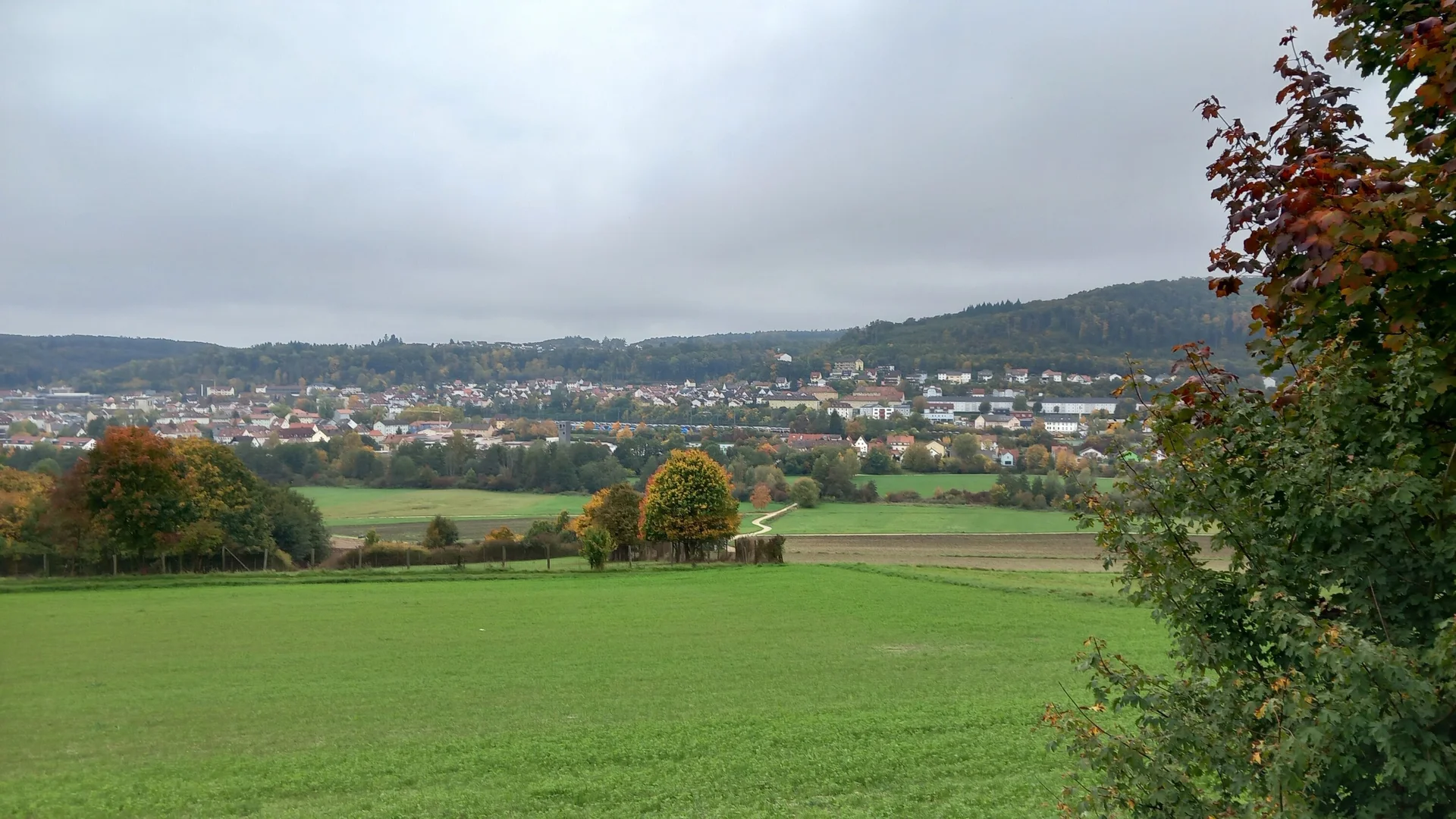 © Karl König