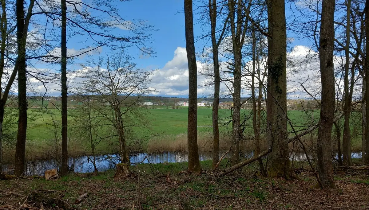 © Karl König