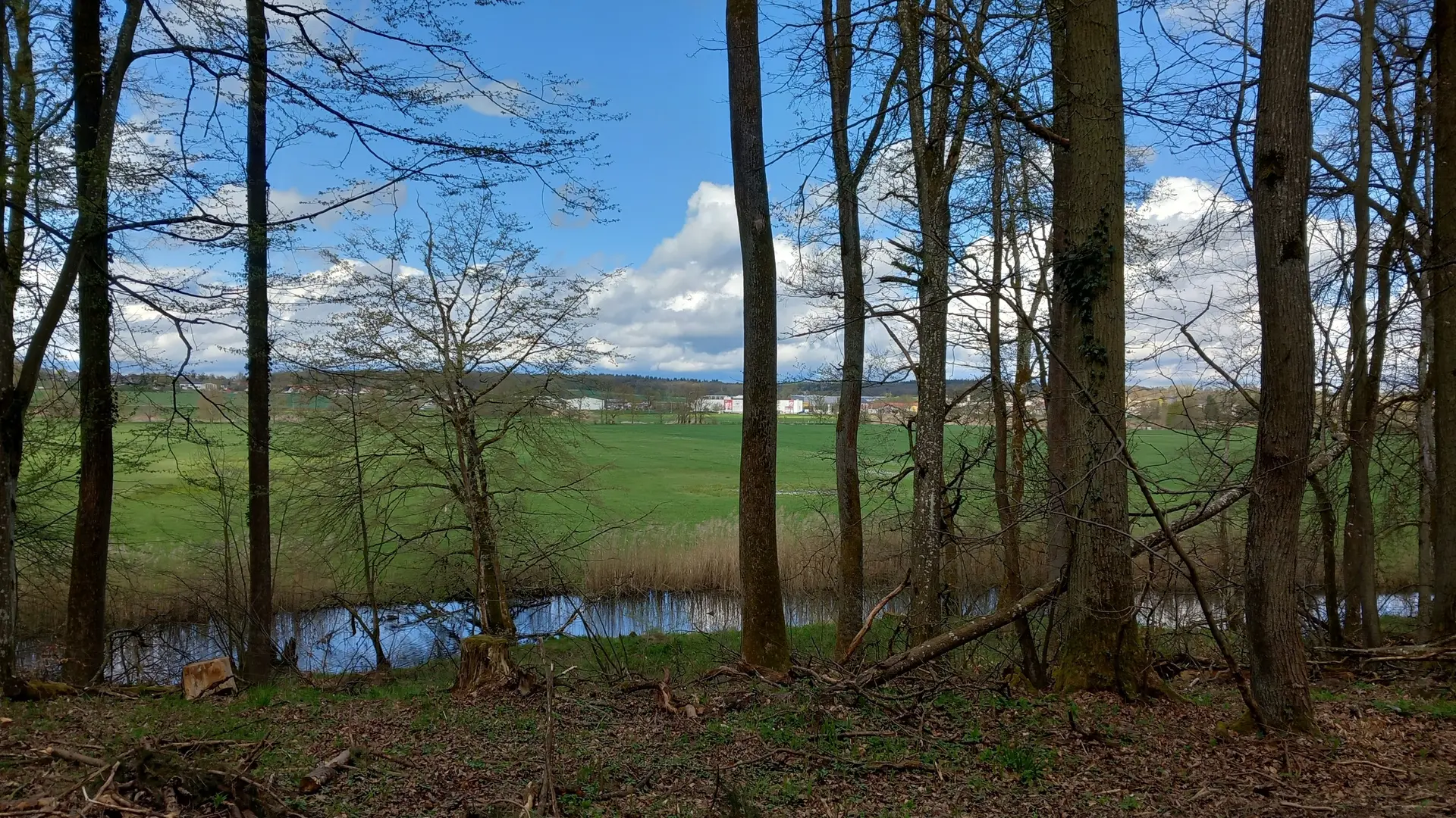 © Karl König