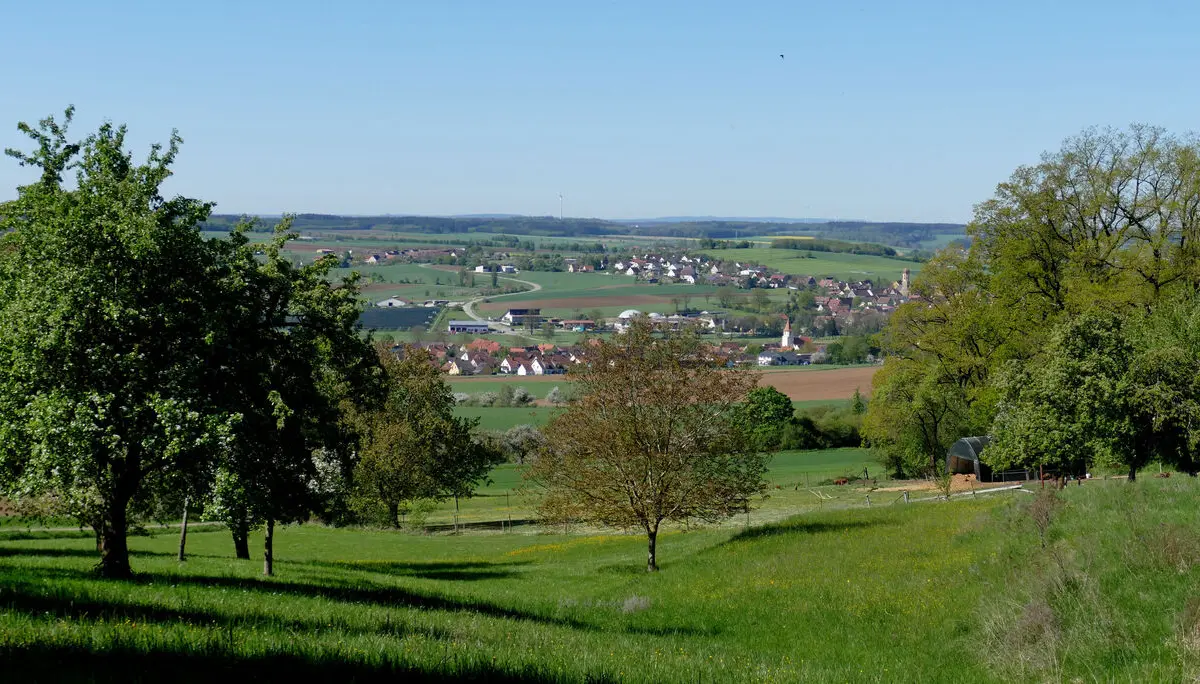 © Karl König