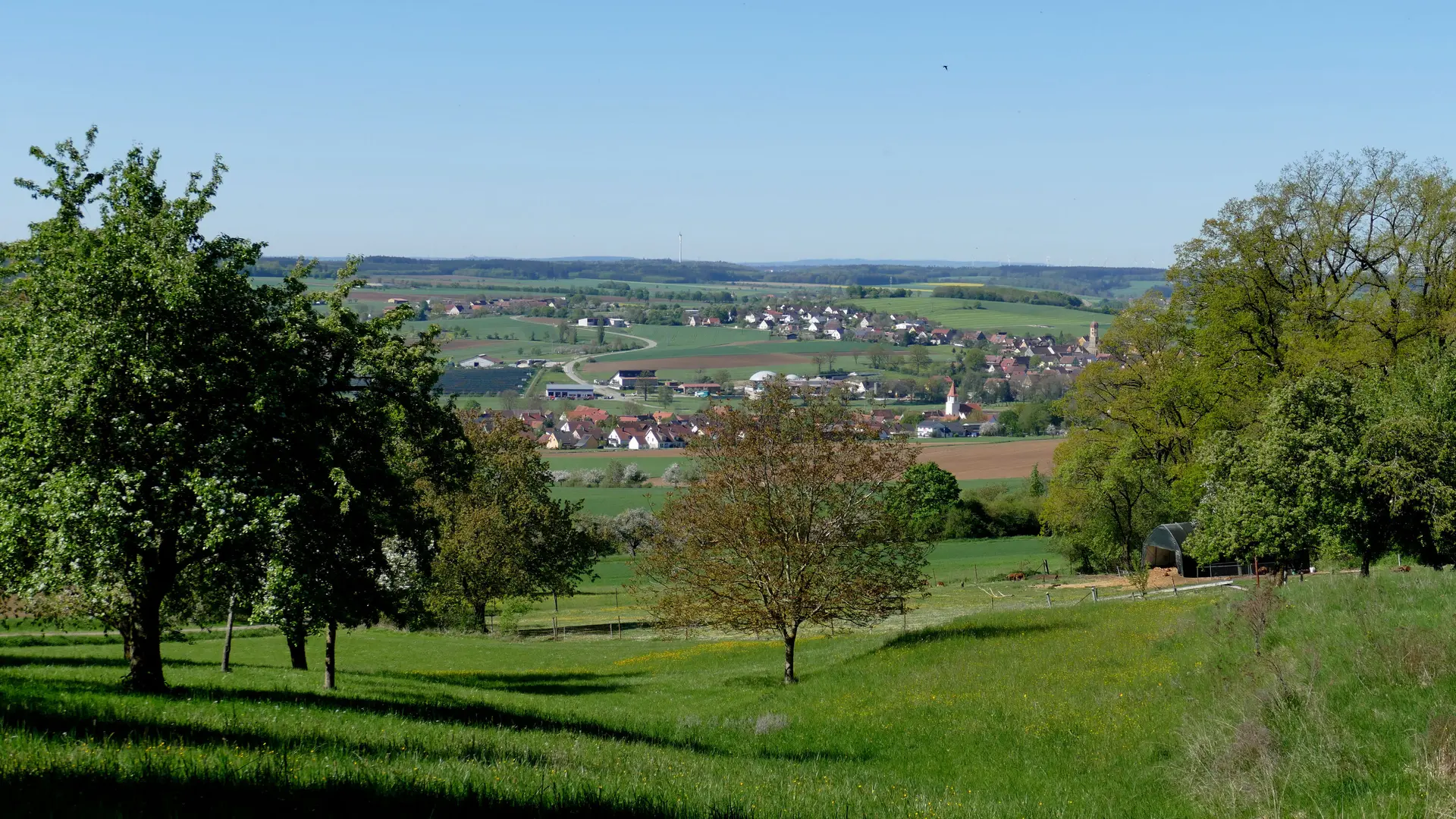 © Karl König
