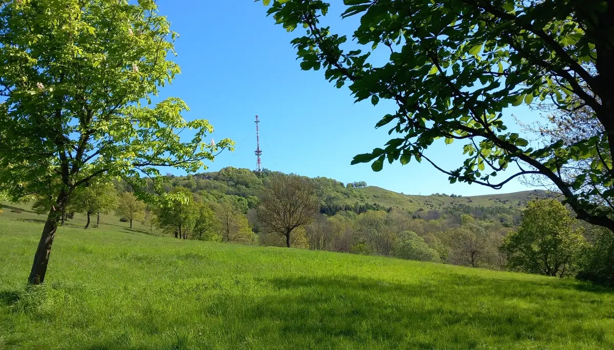 © Karl König