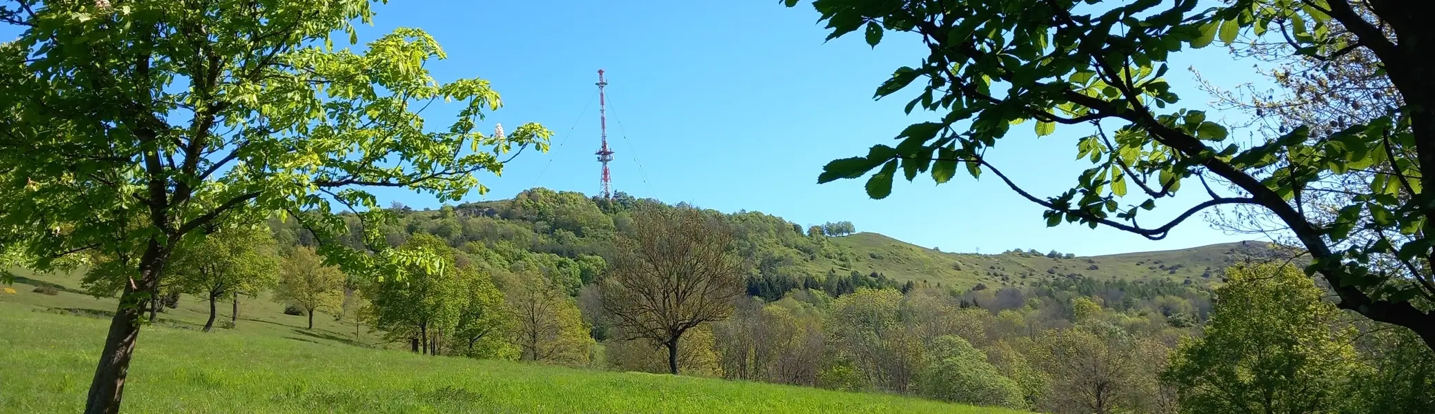 © Karl König