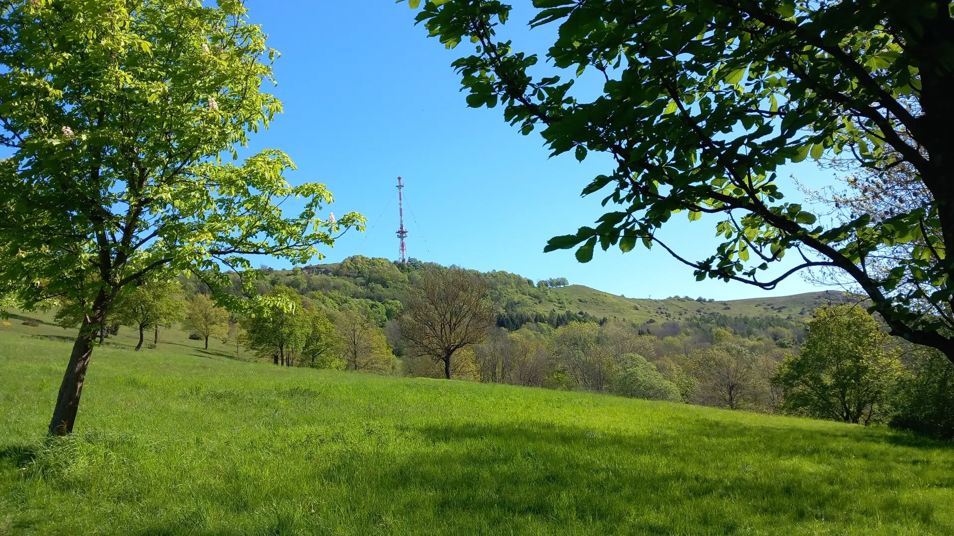 © Karl König
