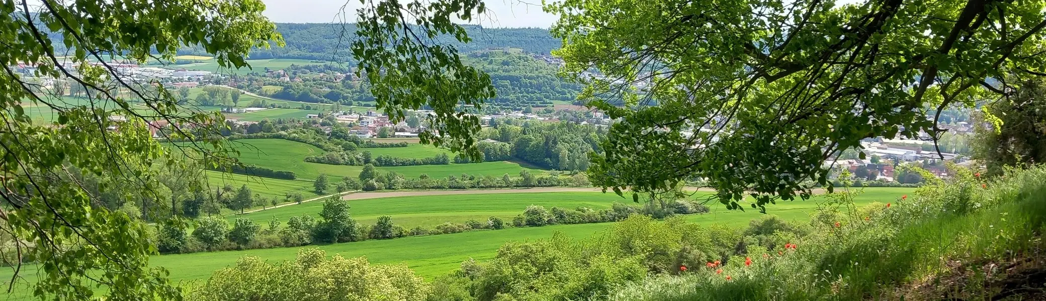 © Karl König