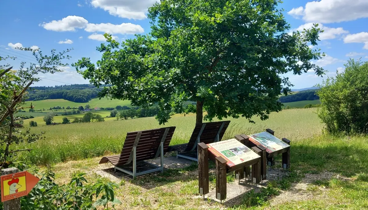 © Karl König