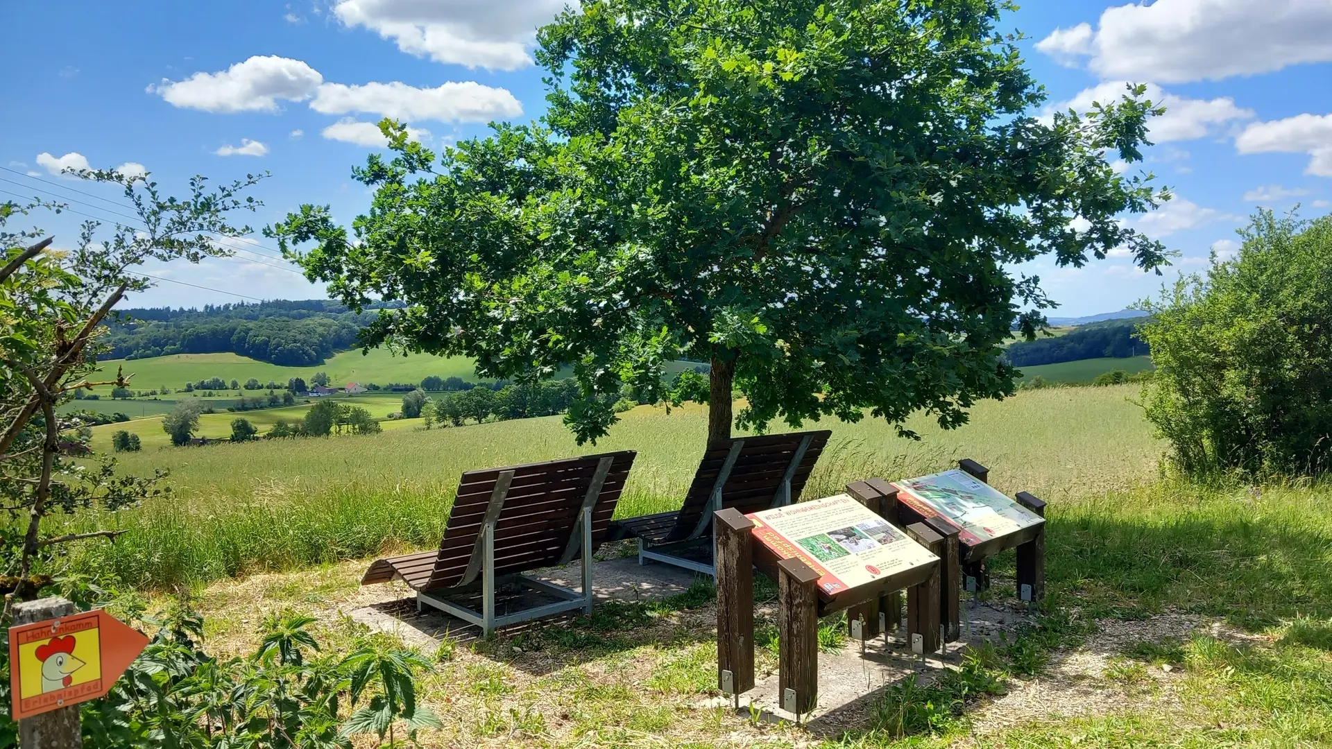 © Karl König