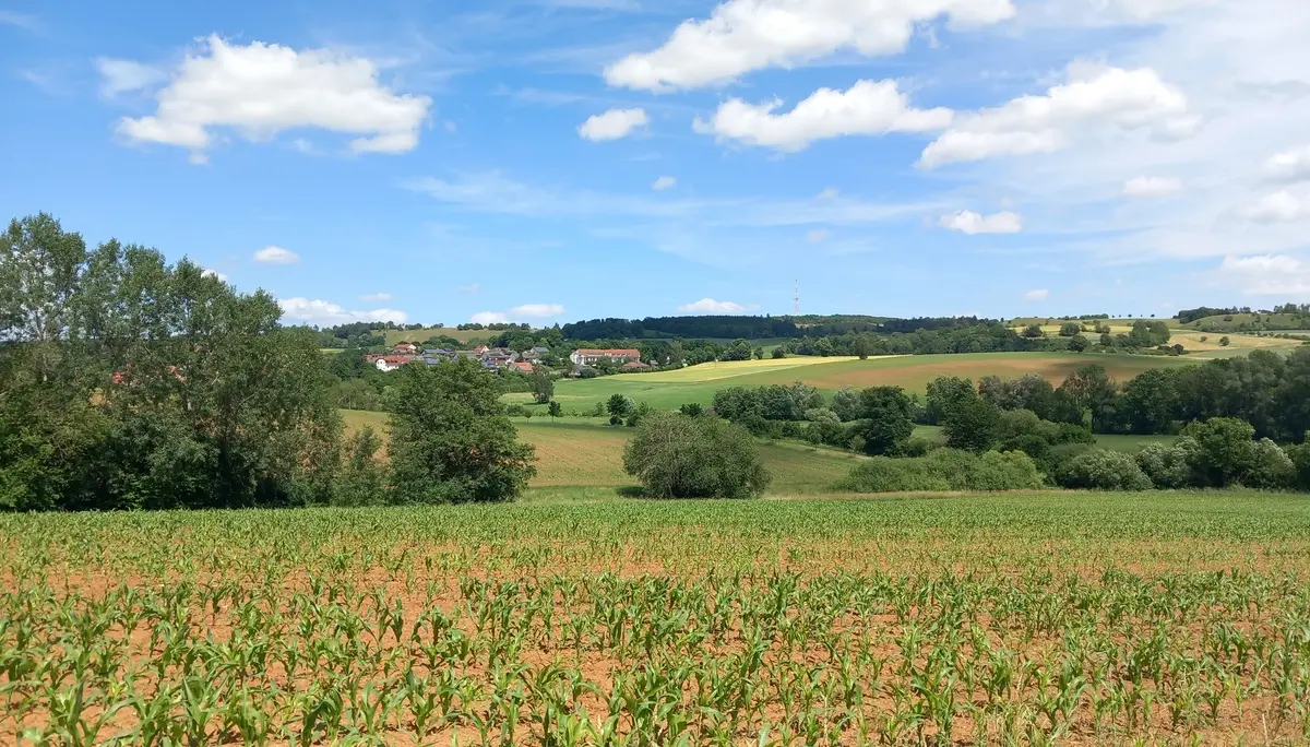© Karl König