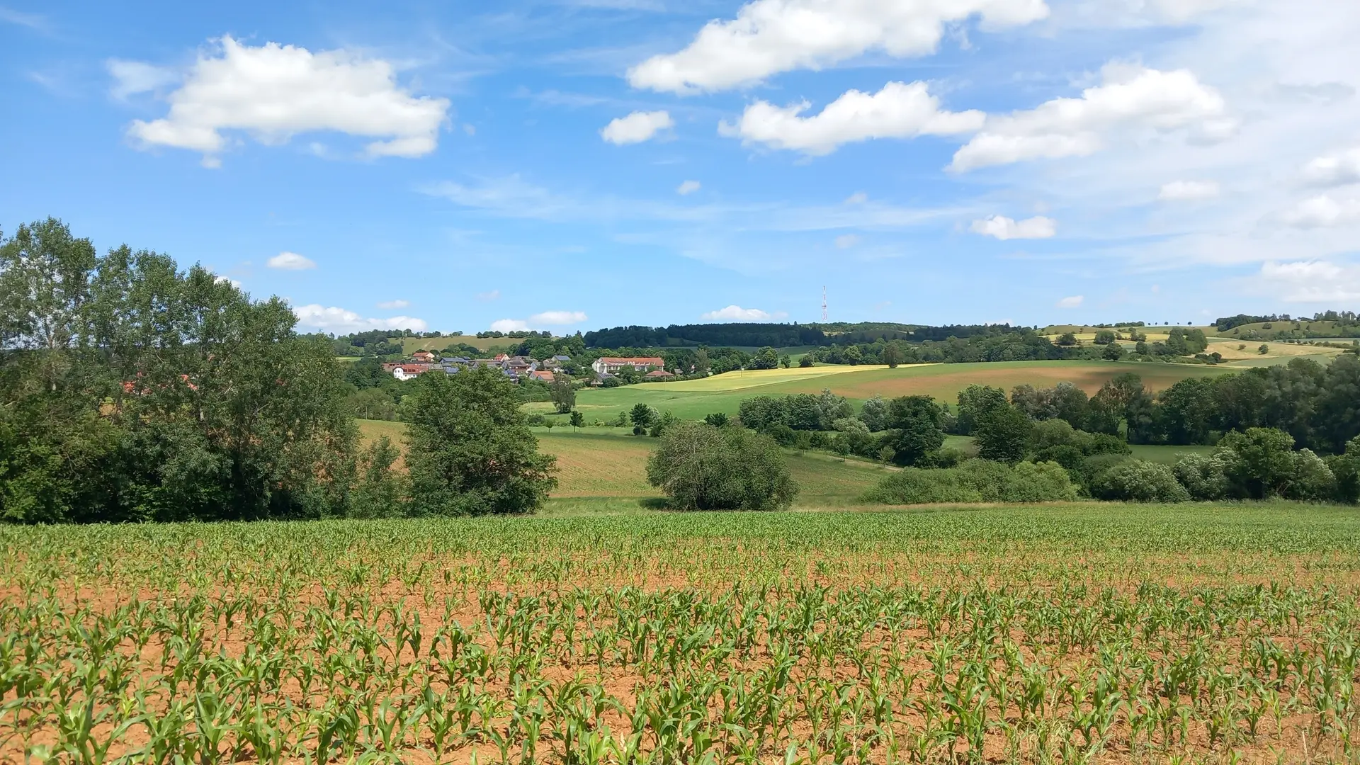 © Karl König