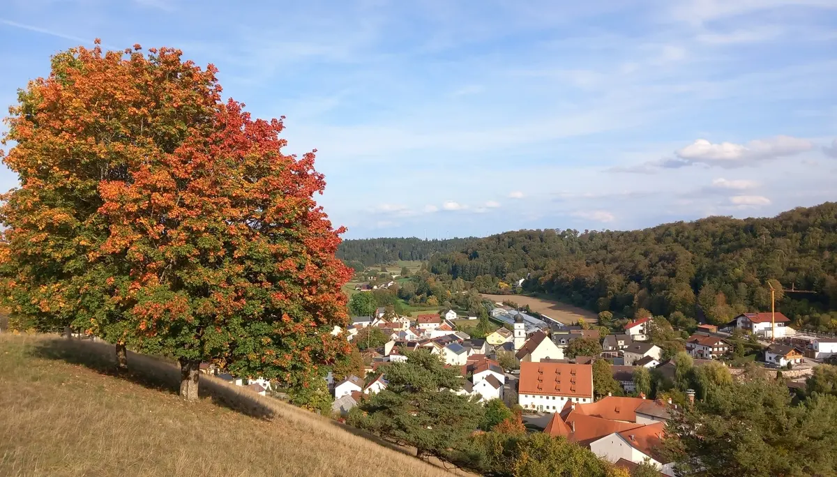 © Karl König